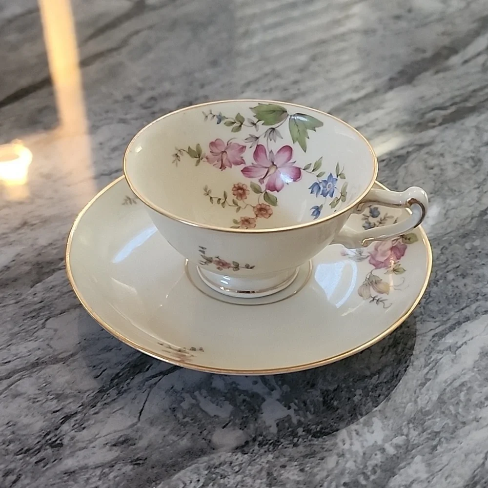 H&C Co. Selb Bavaria Germany Heinrich Teacup And Saucer,  Cream Color
